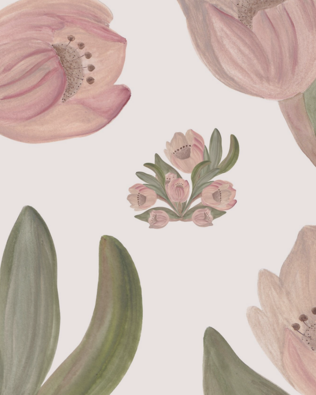 Tulipes vieux rose