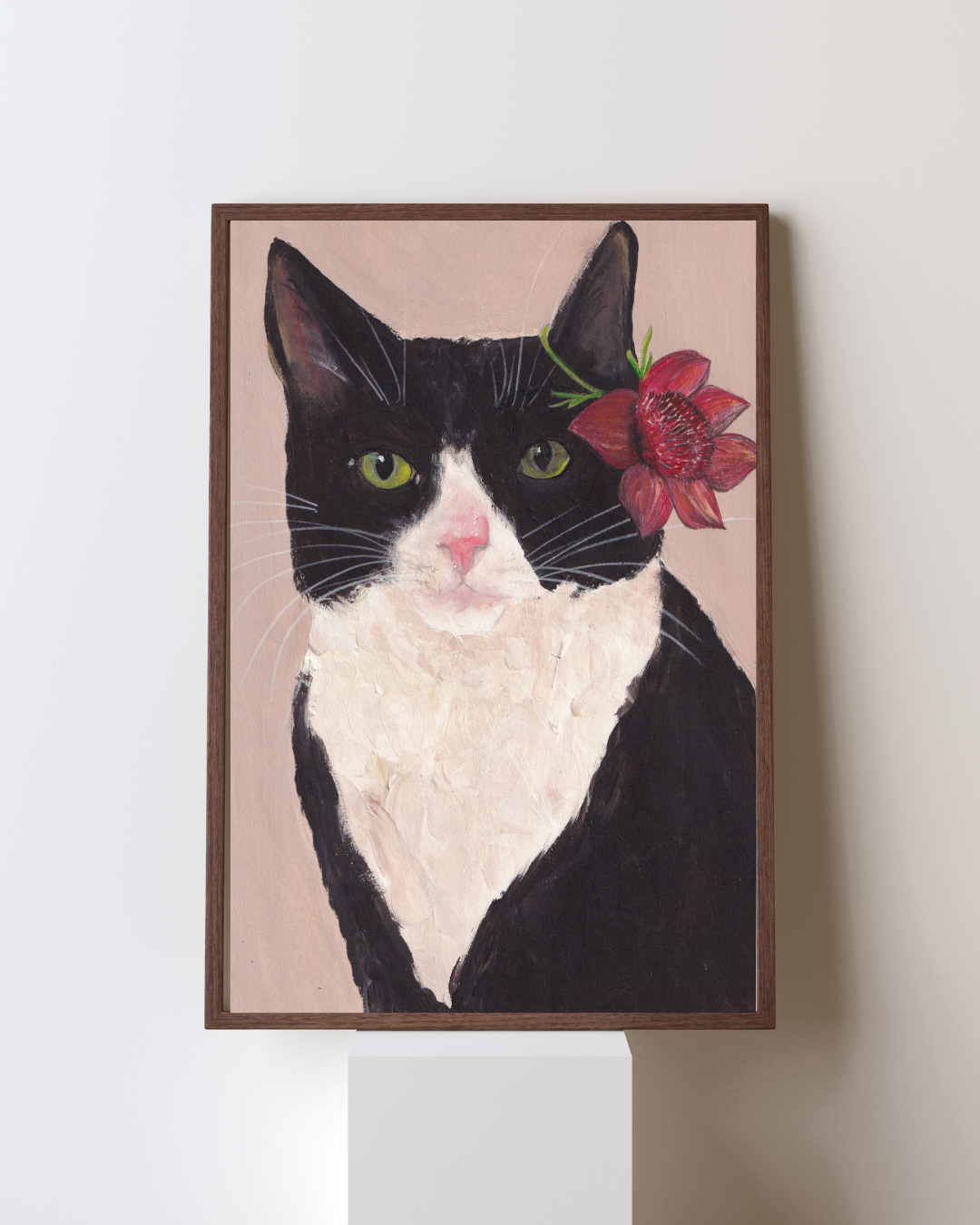 Chat bicolore et sa fleur des îles