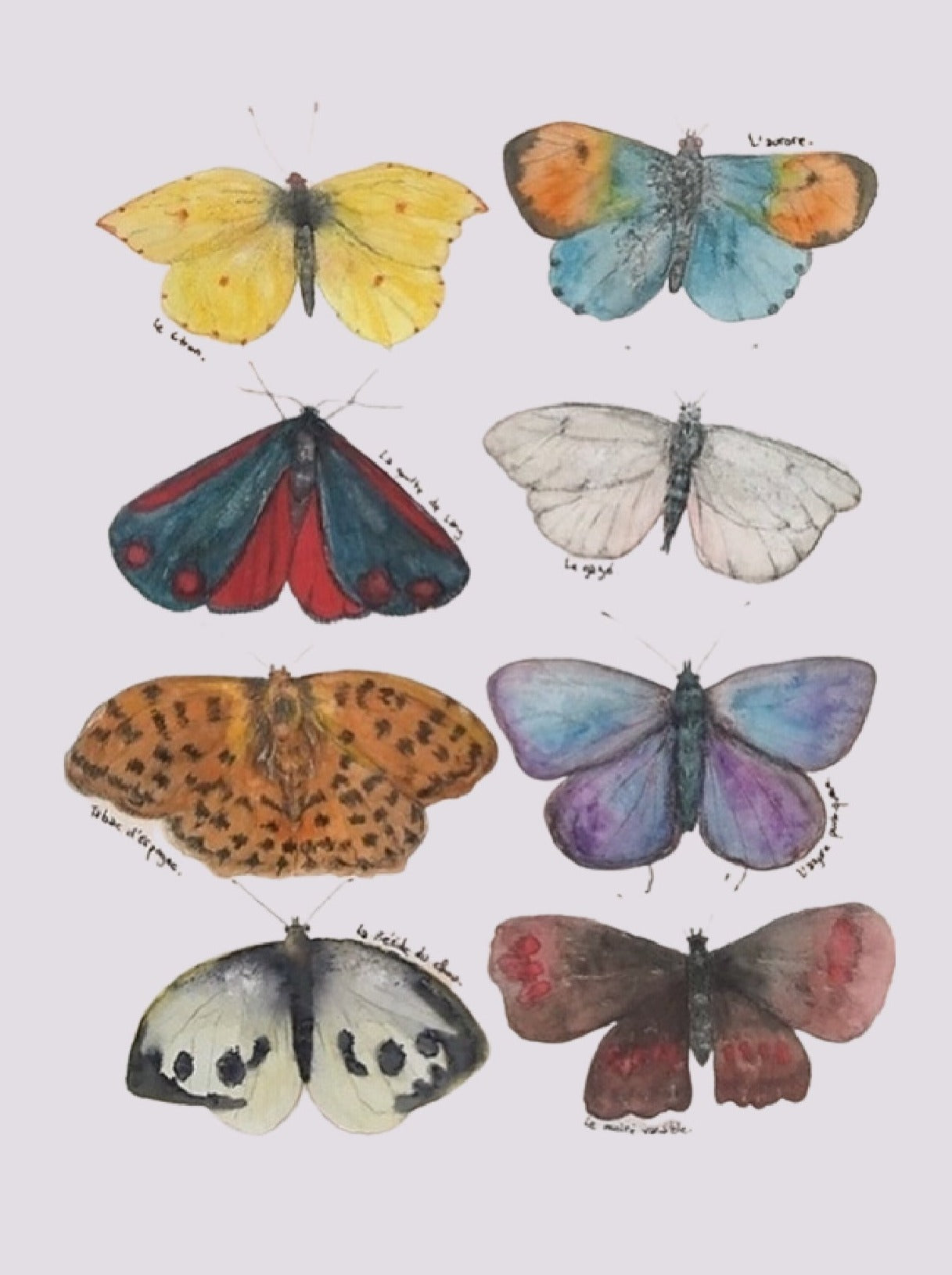 8  Papillons - Format 9x13cm