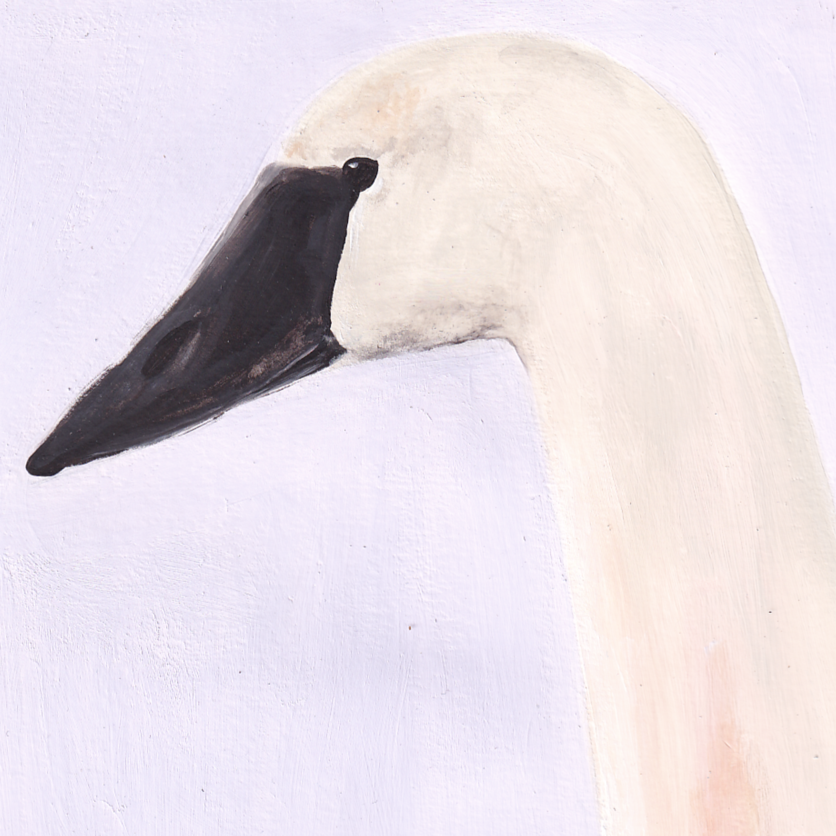 Le cygne III