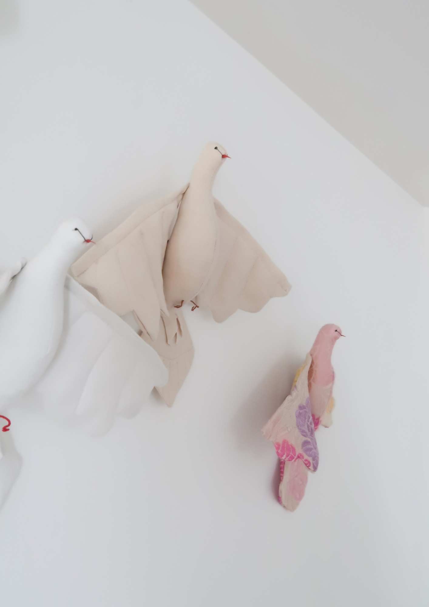 La petite colombe teinture végétale