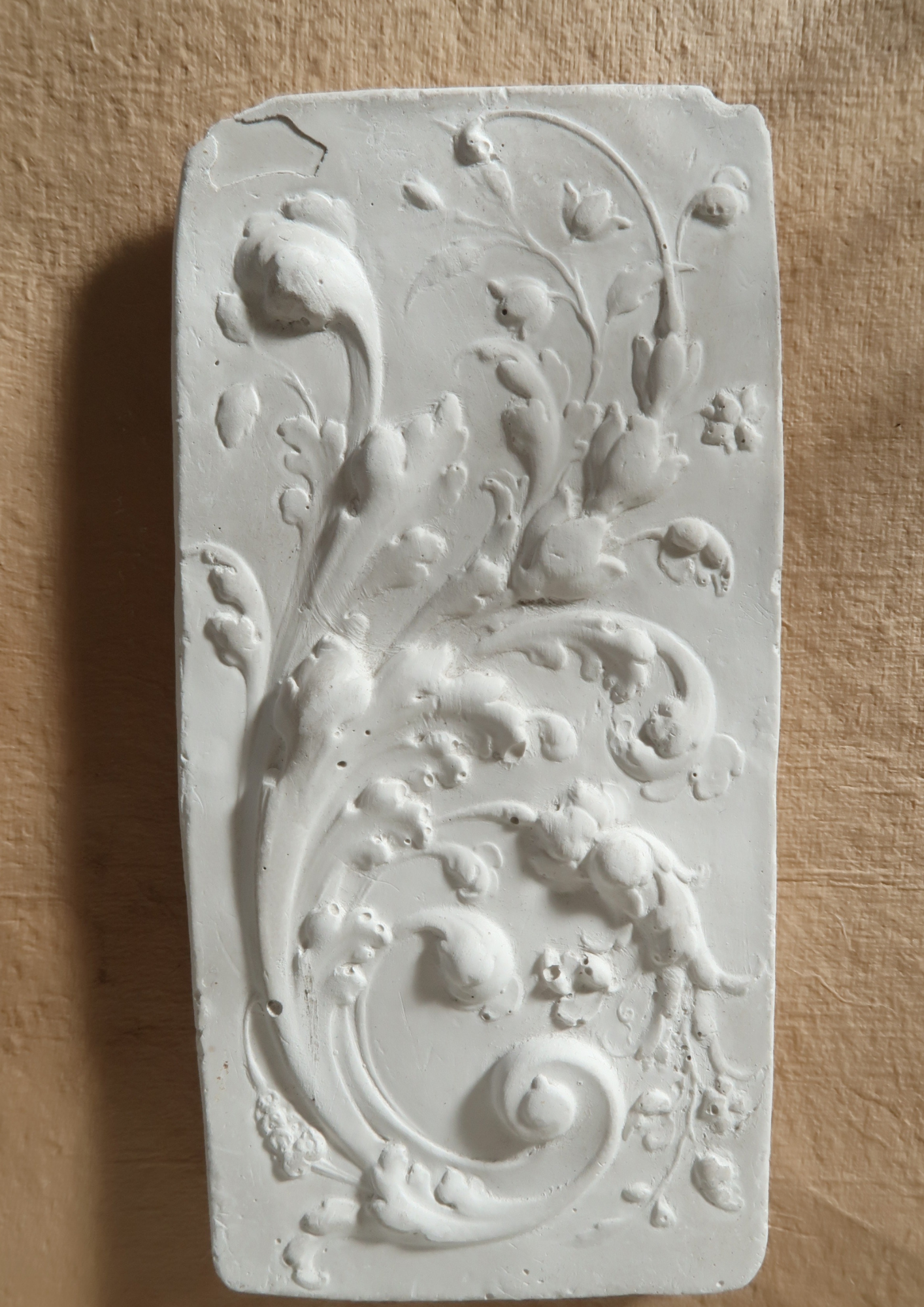 Relief végétal en plâtre