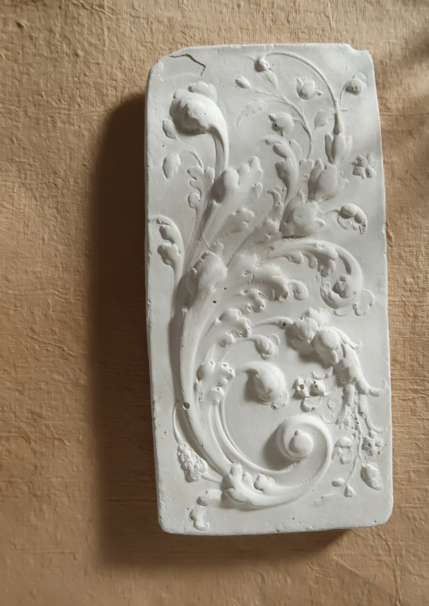 Relief végétal en plâtre