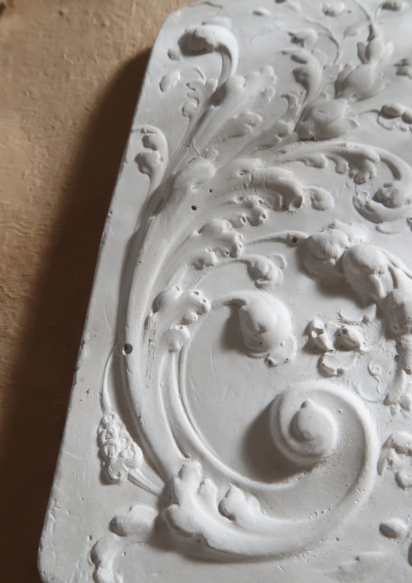 Relief végétal en plâtre