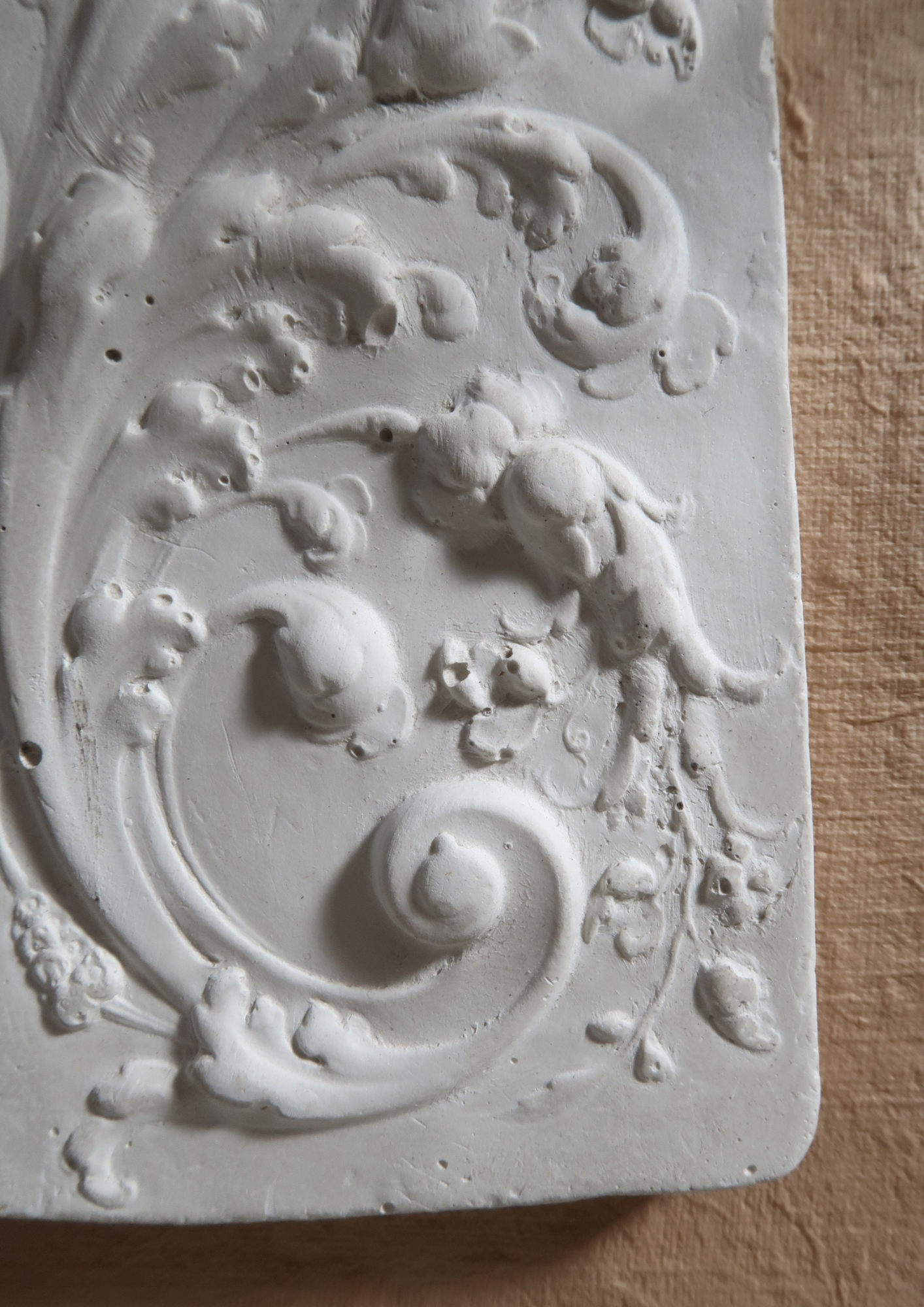 Relief végétal en plâtre