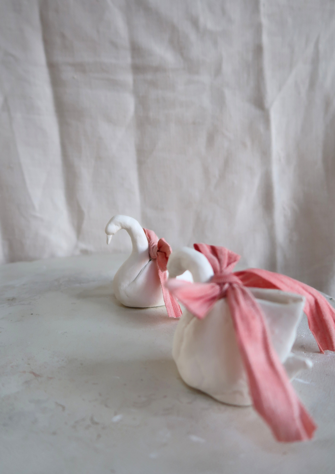 Le couple de cygnes à noeuds