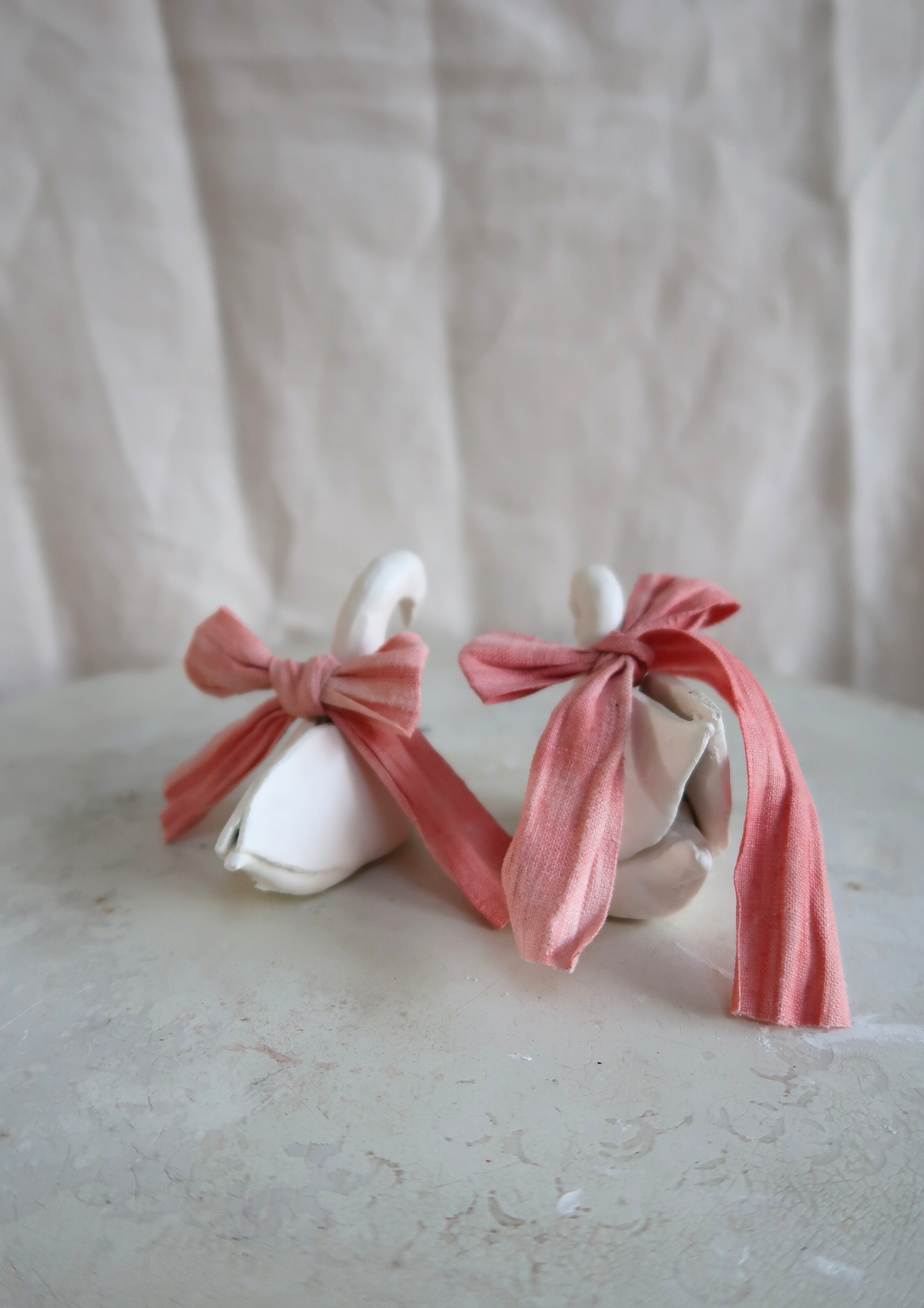 Le couple de cygnes à noeuds