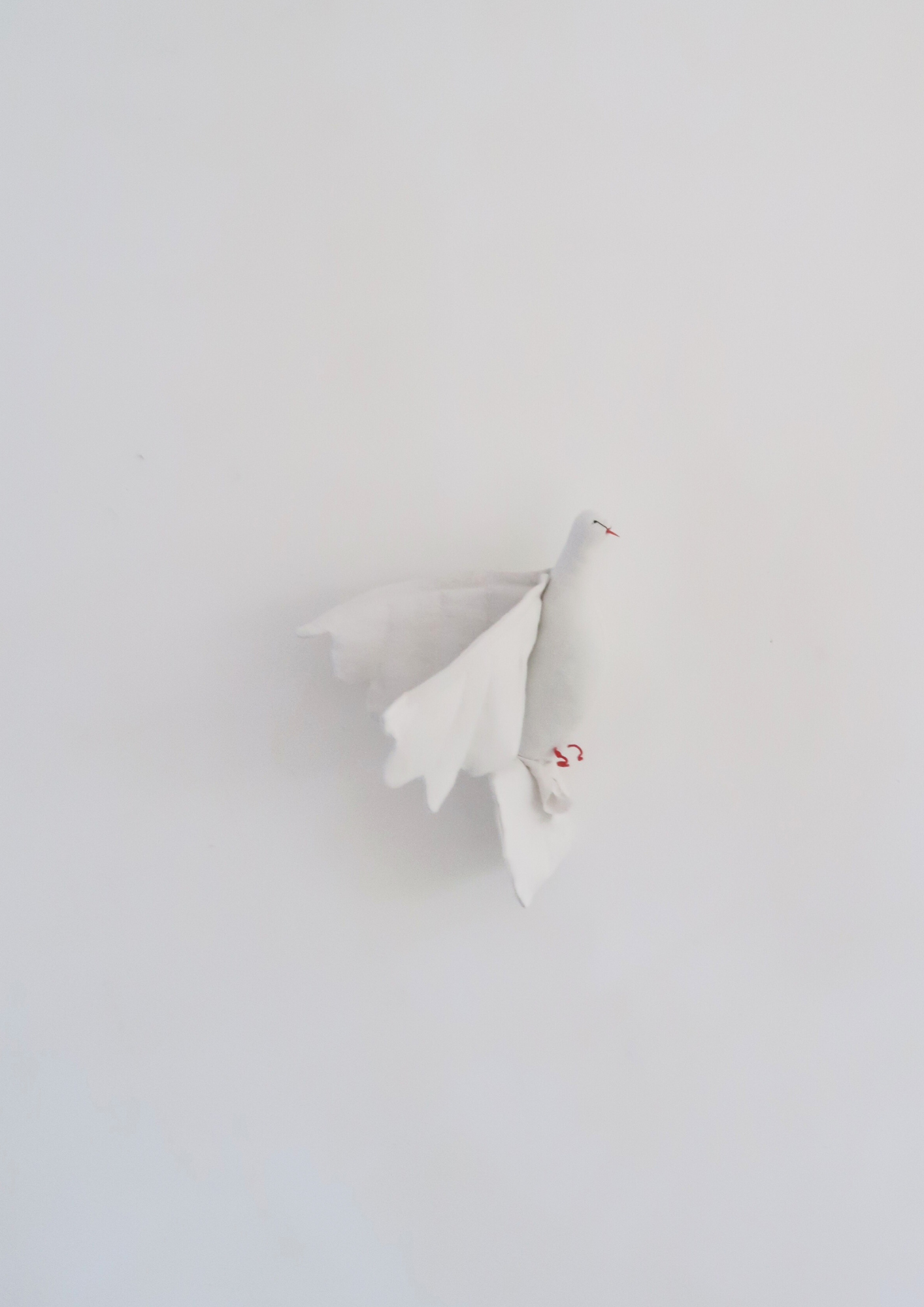 La Petite Colombe blanche