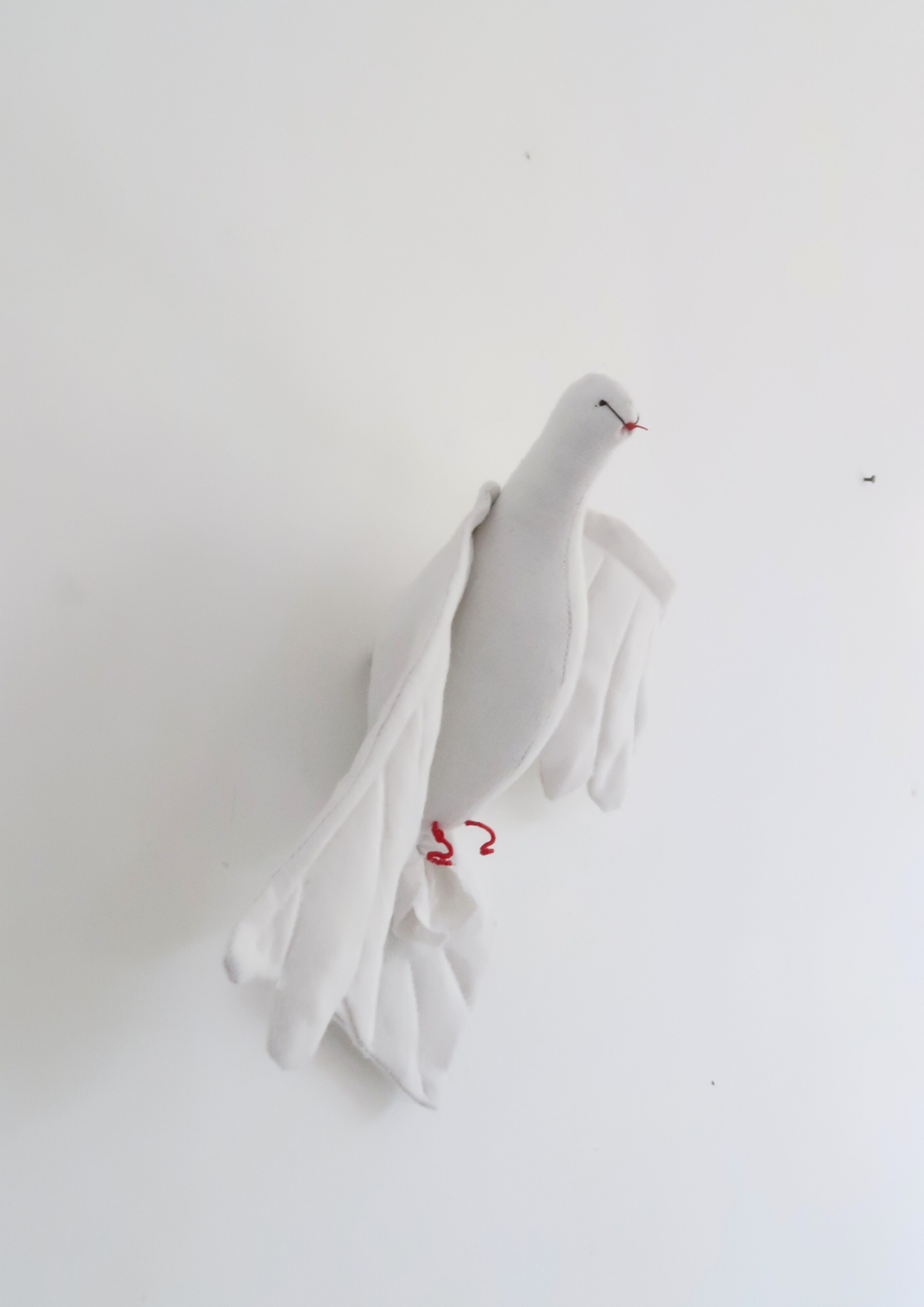 La Petite Colombe blanche