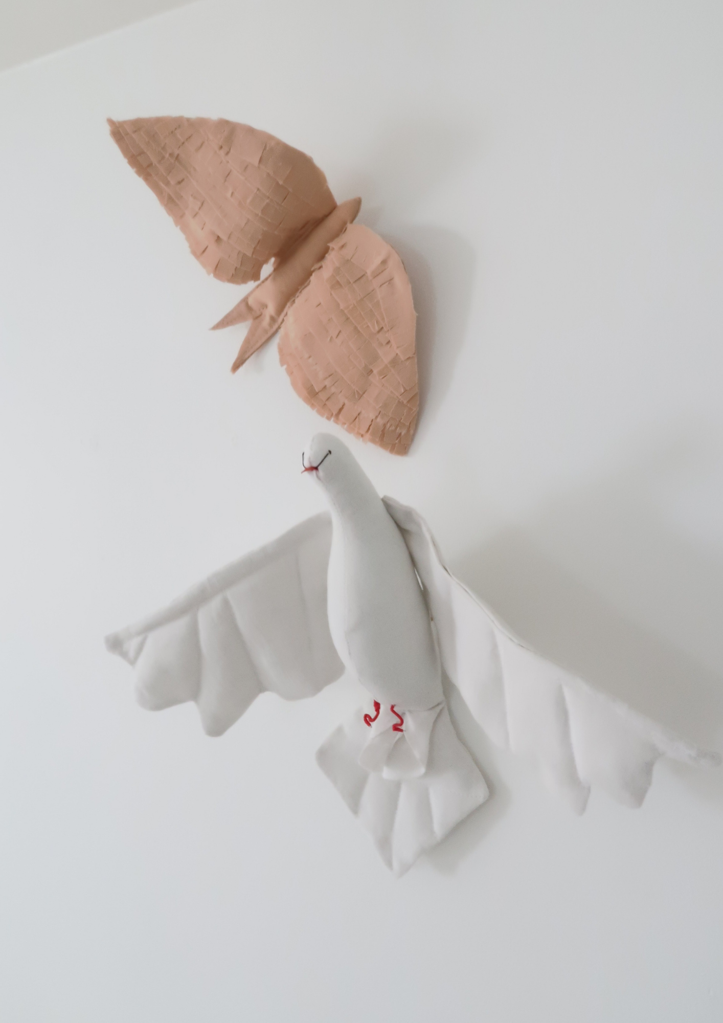 La Petite Colombe blanche