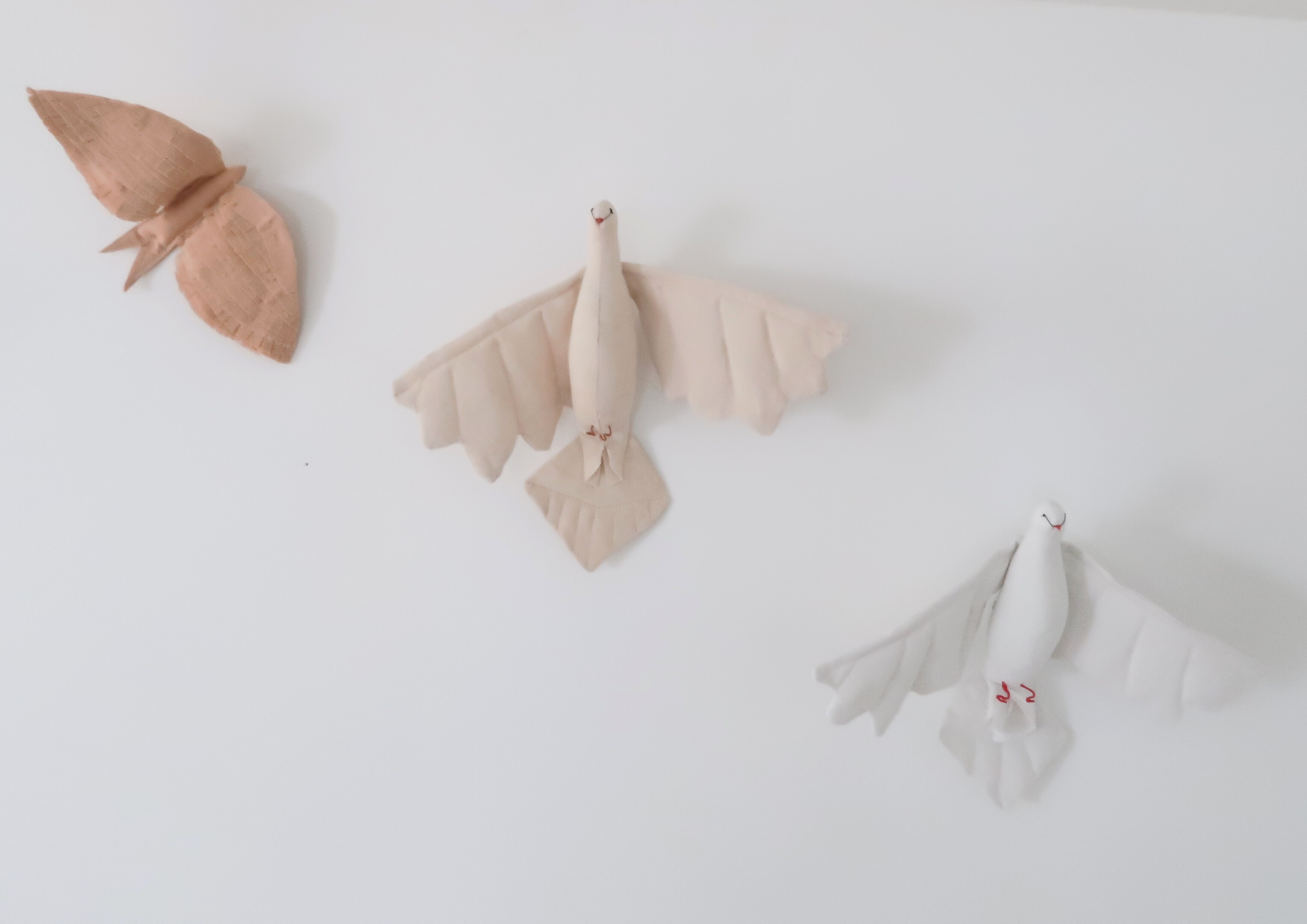 La Petite Colombe blanche