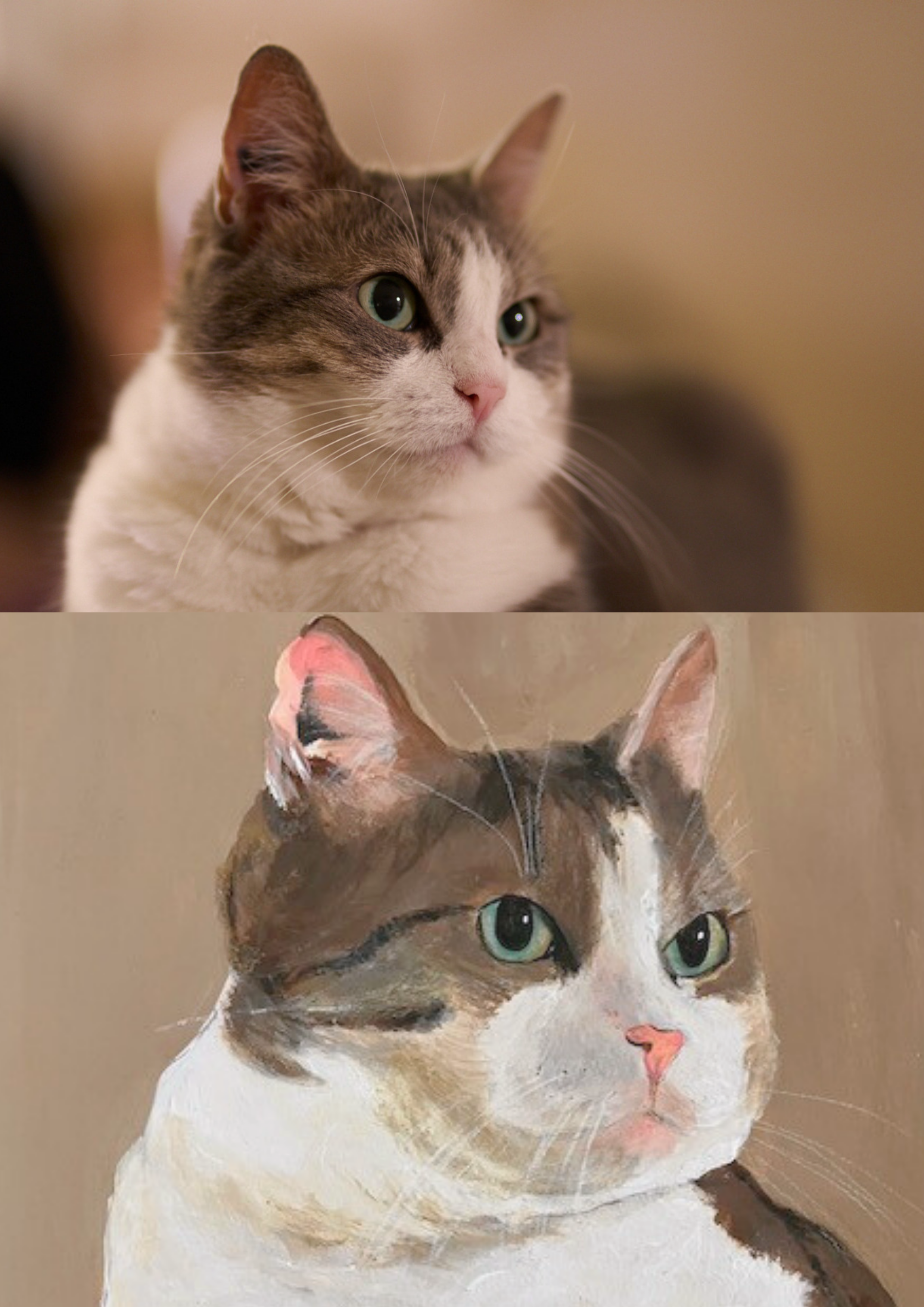 Le Portrait de vos animaux préférés