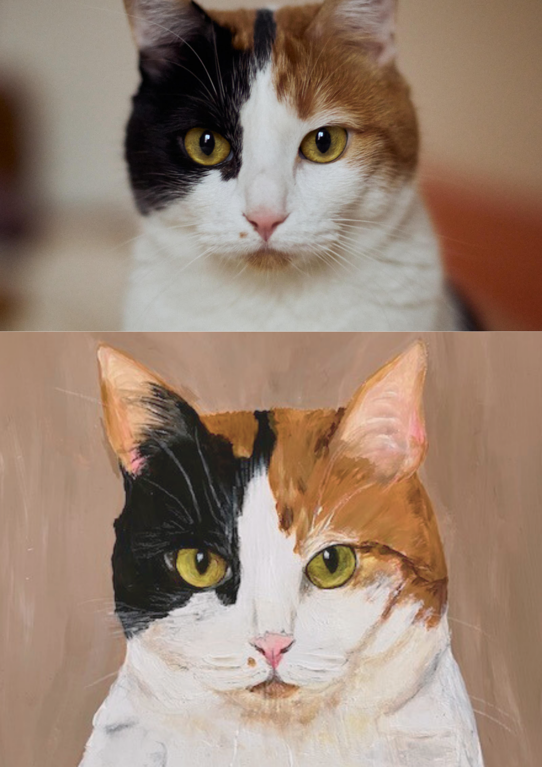 Le Portrait de vos animaux préférés