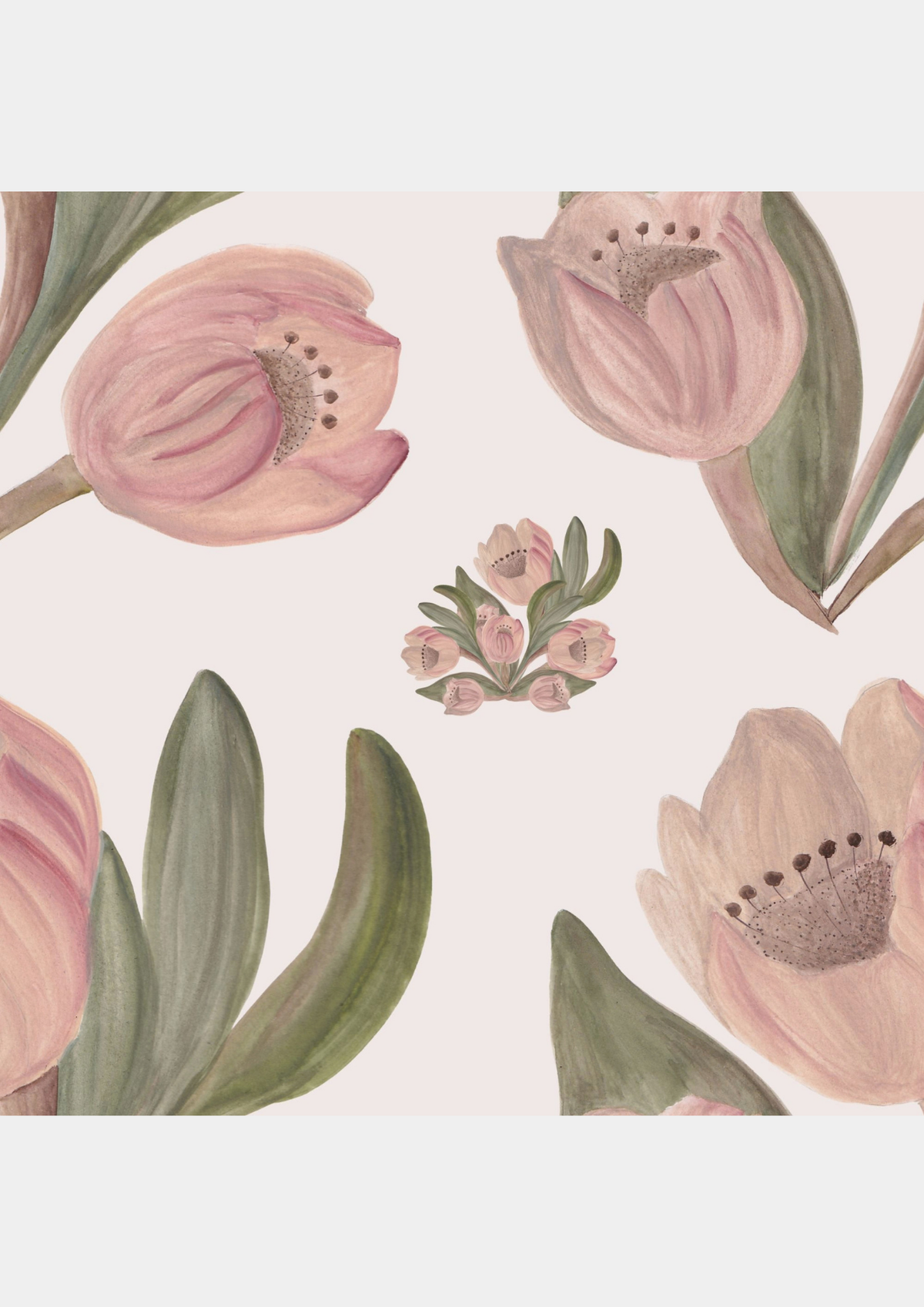 Tulipes vieux rose