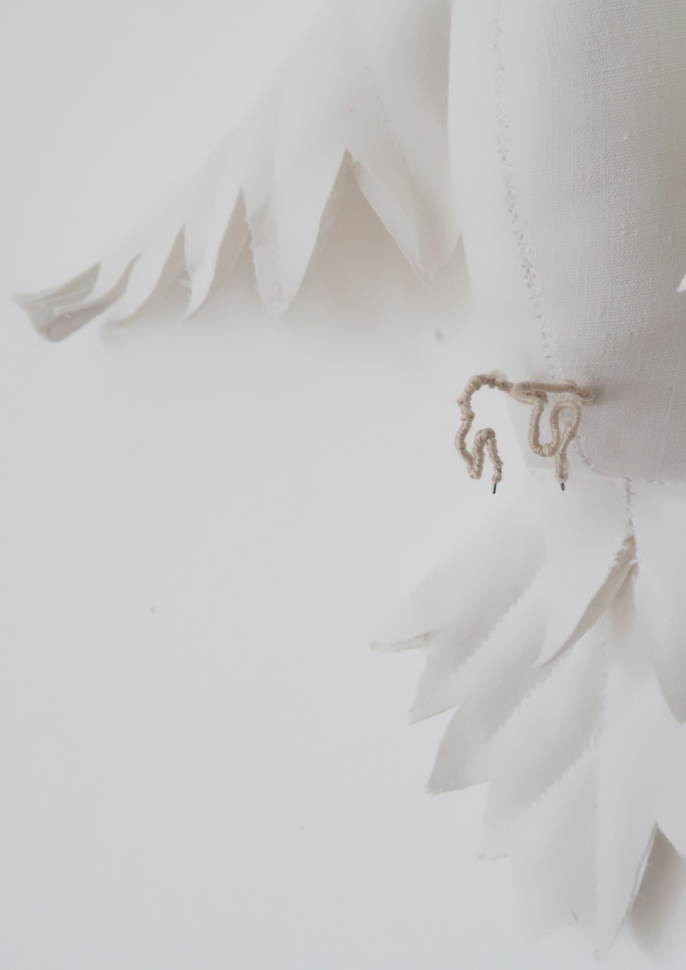La Colombe blanche
