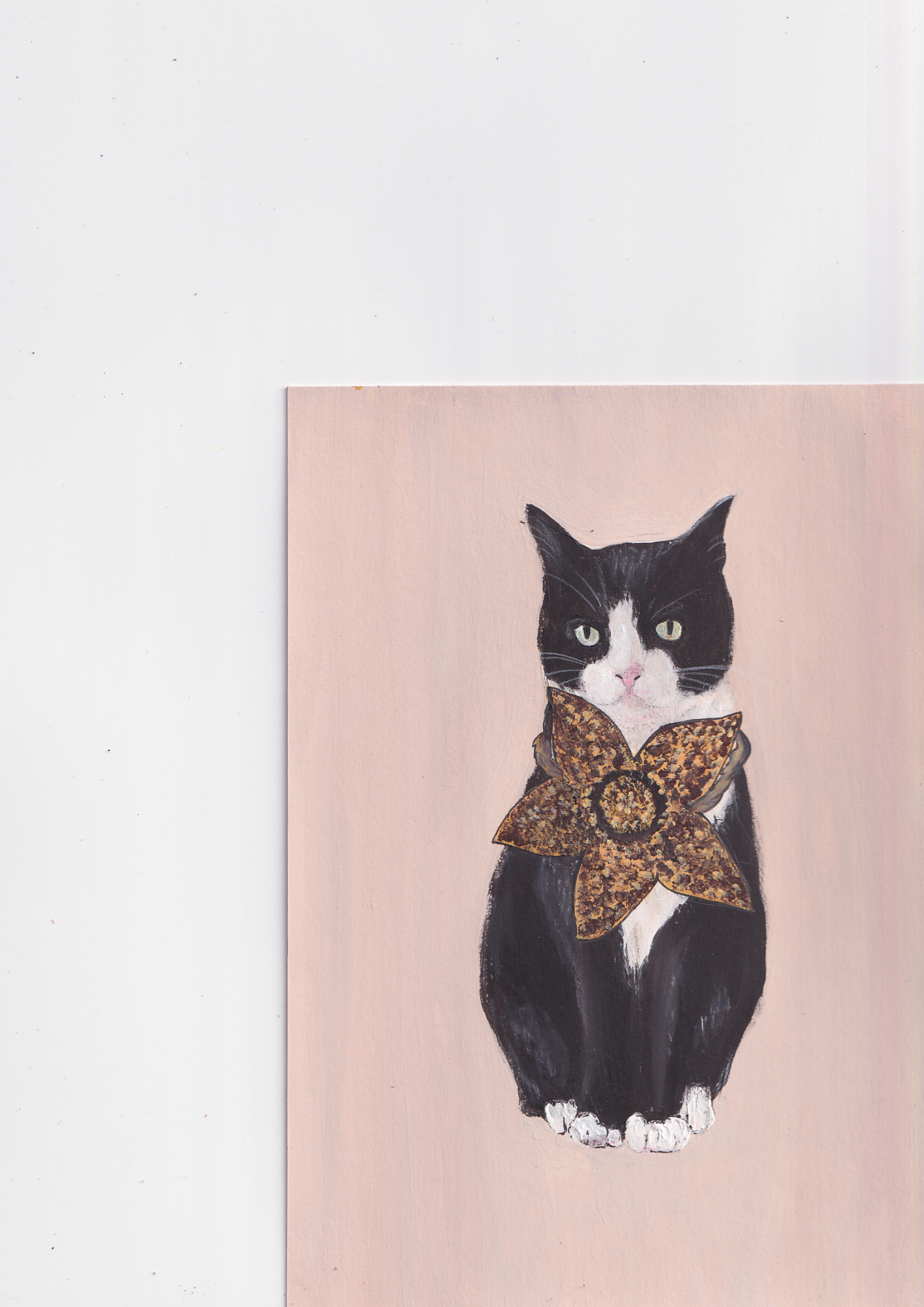 Chat bicolore et sa fleur