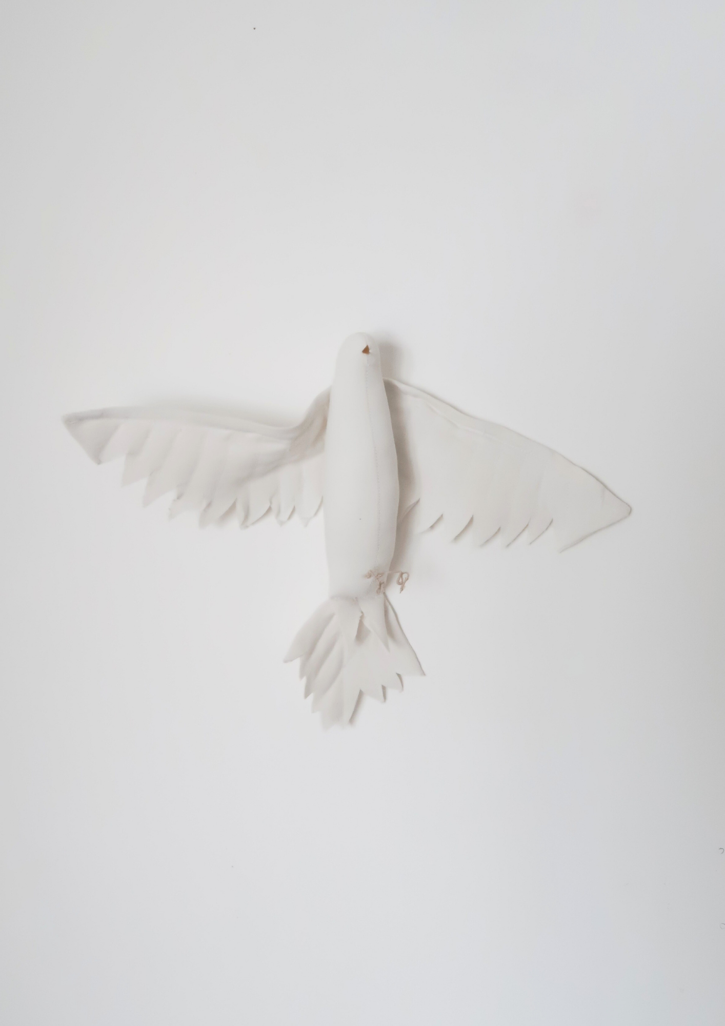 La Colombe blanche