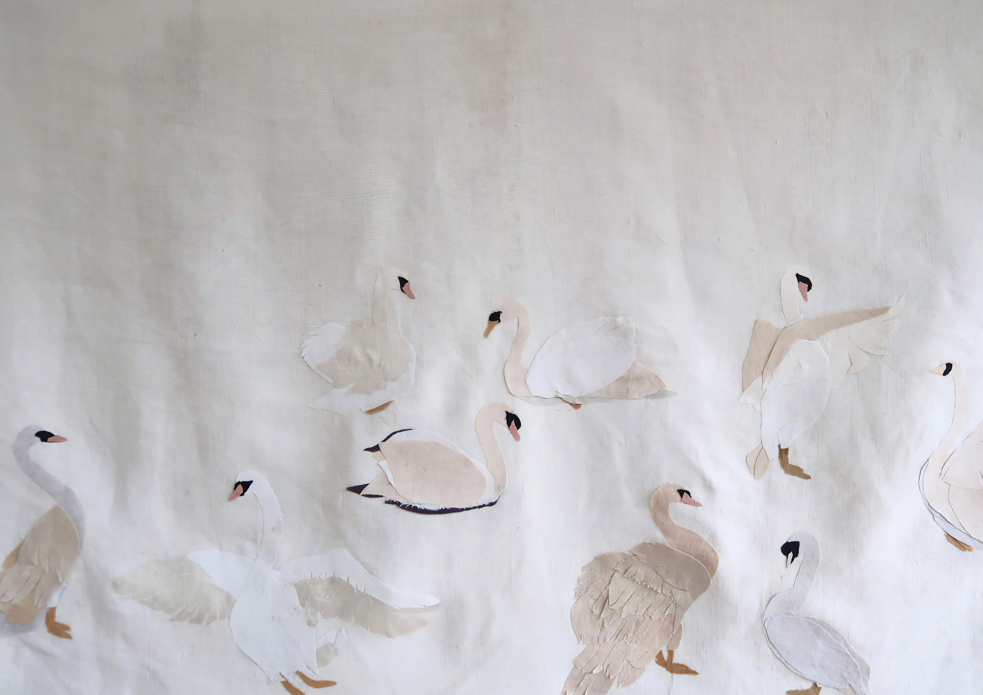 Les Cygnes V