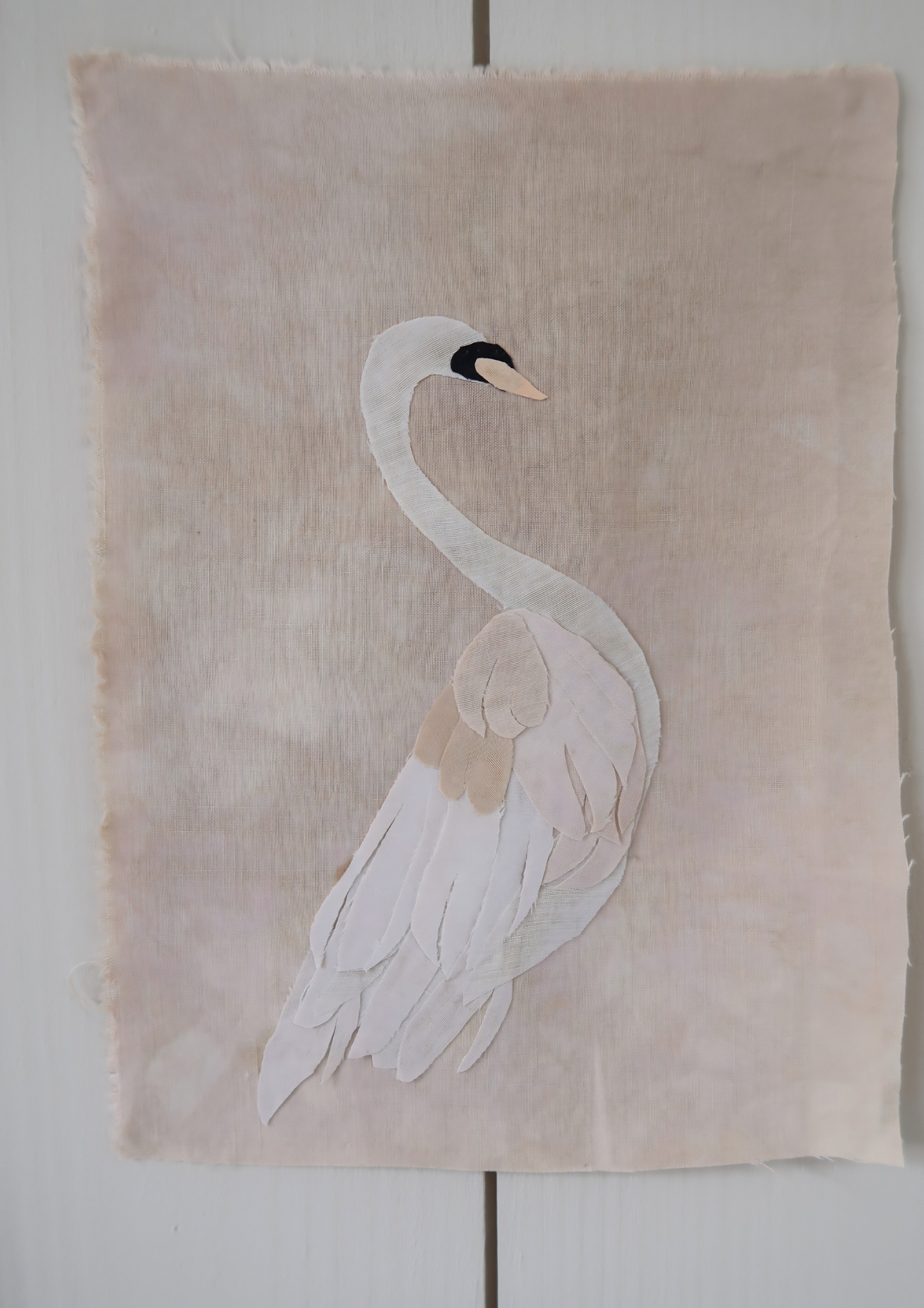 Le cygne IV