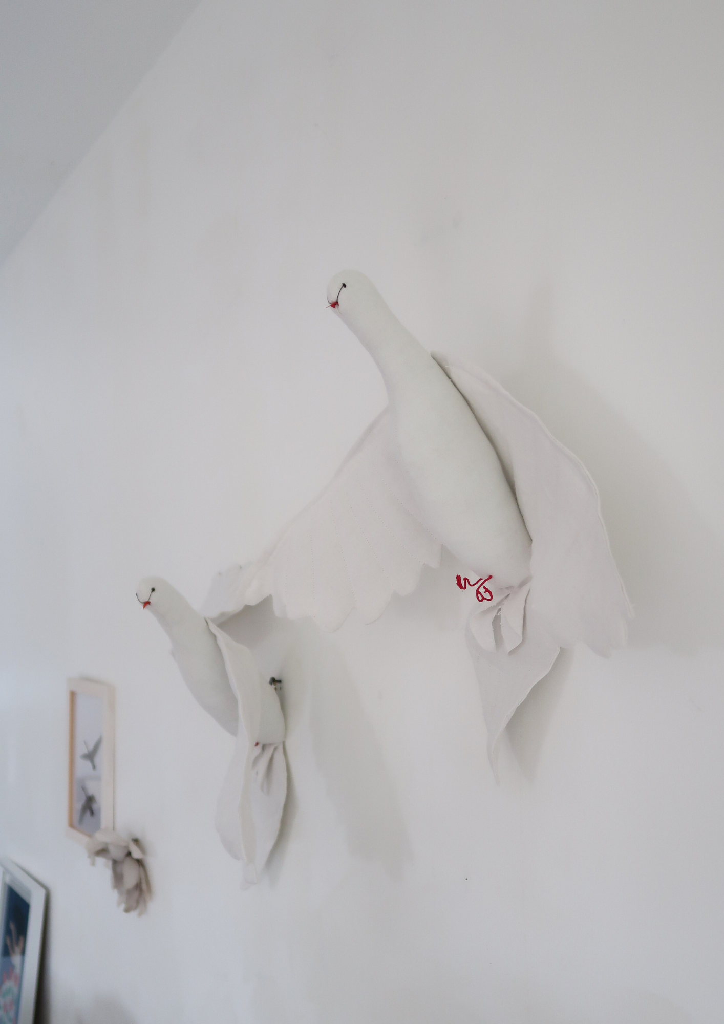 La Grande Colombe Blanche