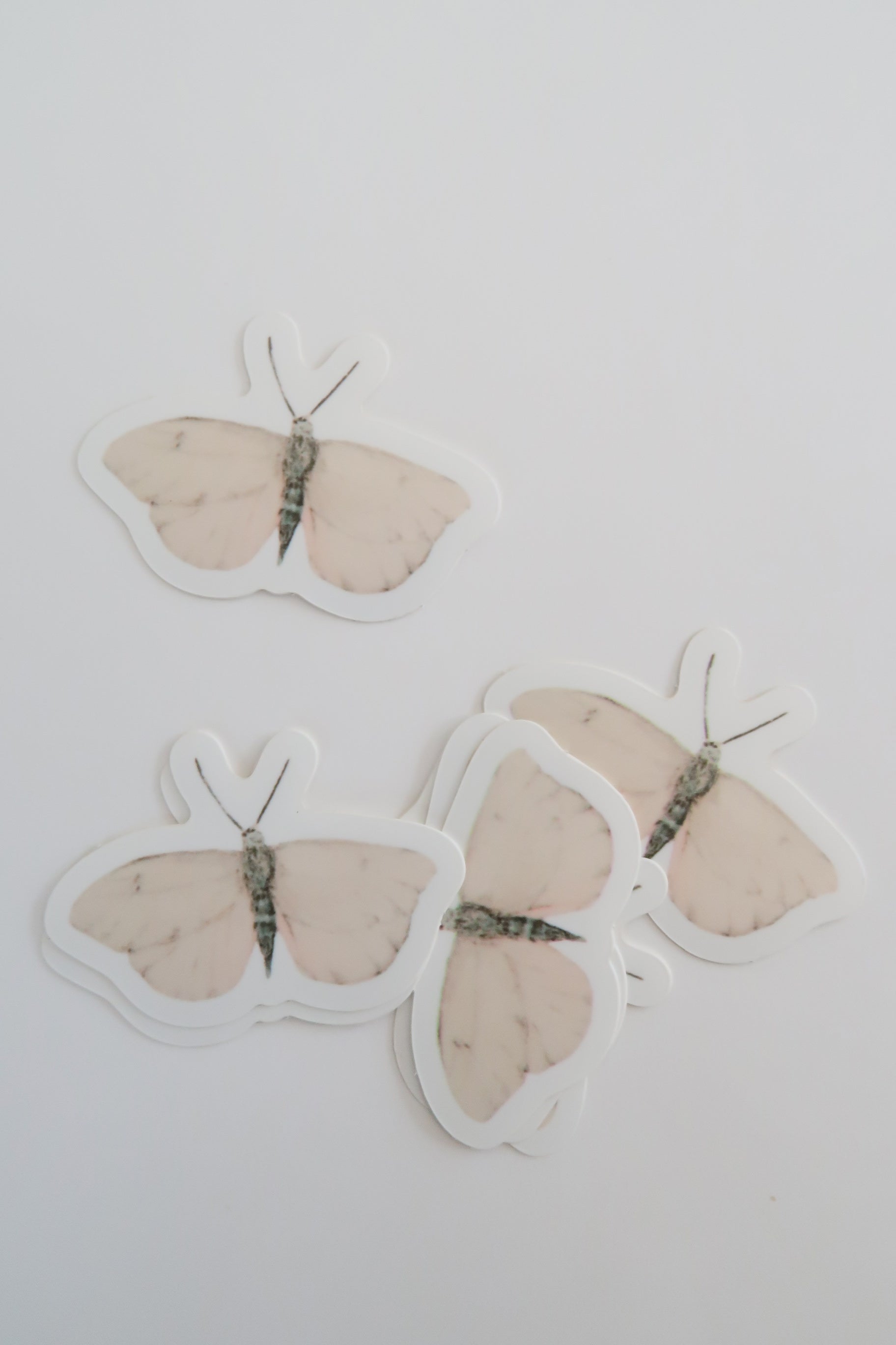 Stickers Chien, Papillon & Oiseaux - Numéro 4