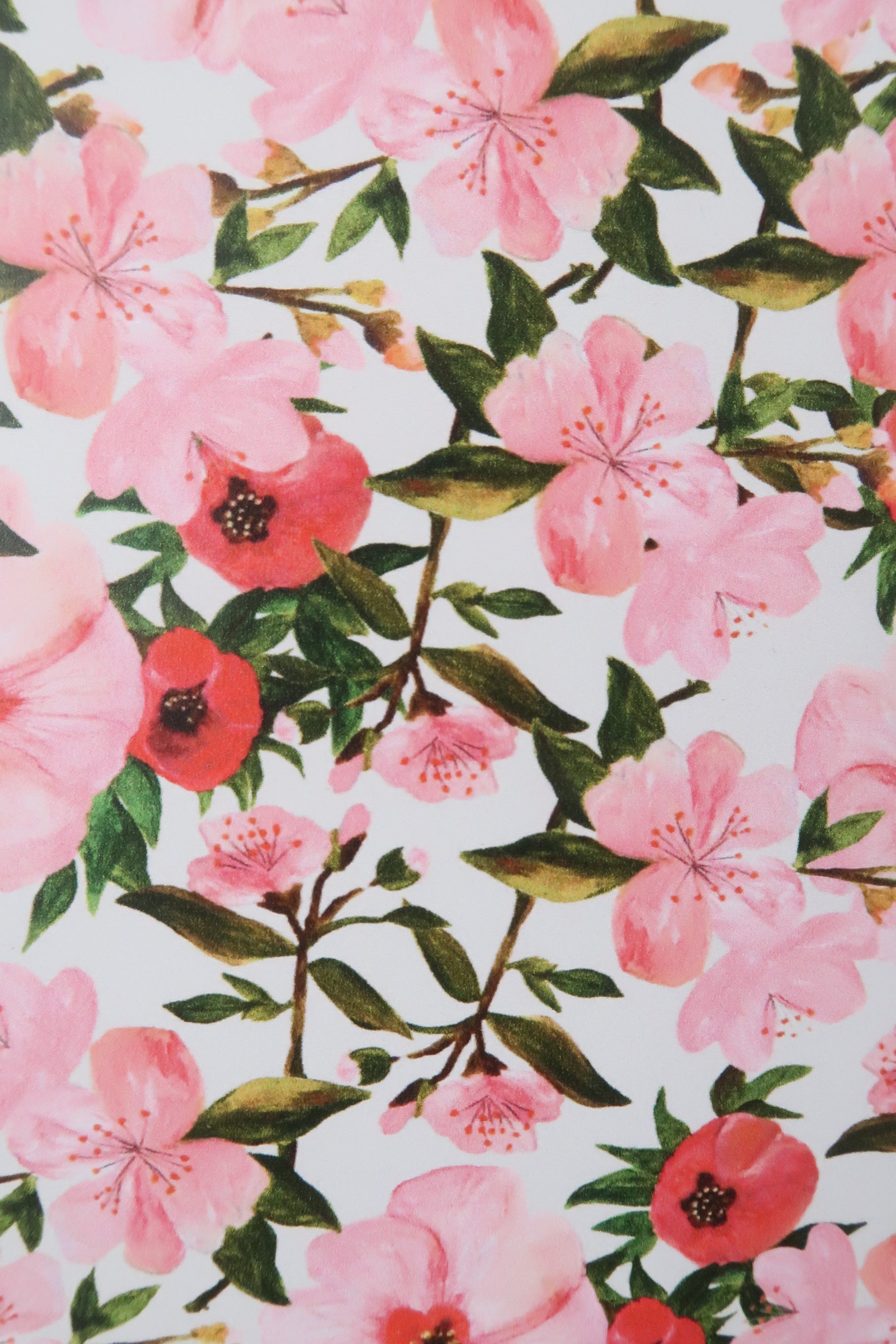 Affiche illustrée à motifs fleurs de cerisier- Format A4