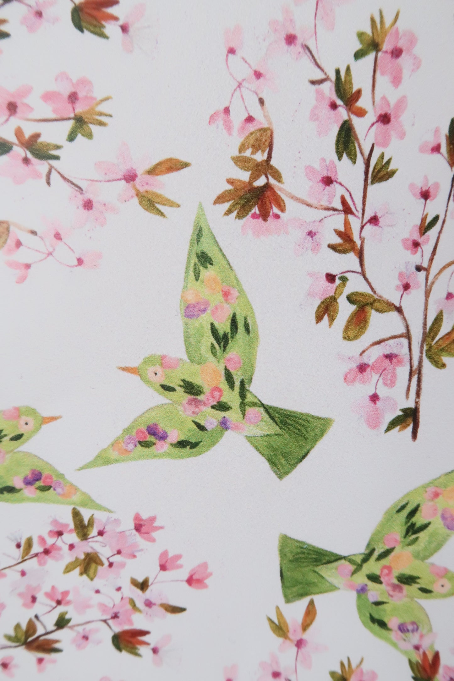 Affiche illustrée à motifs colibri & fleurs de cerisier- Format A4