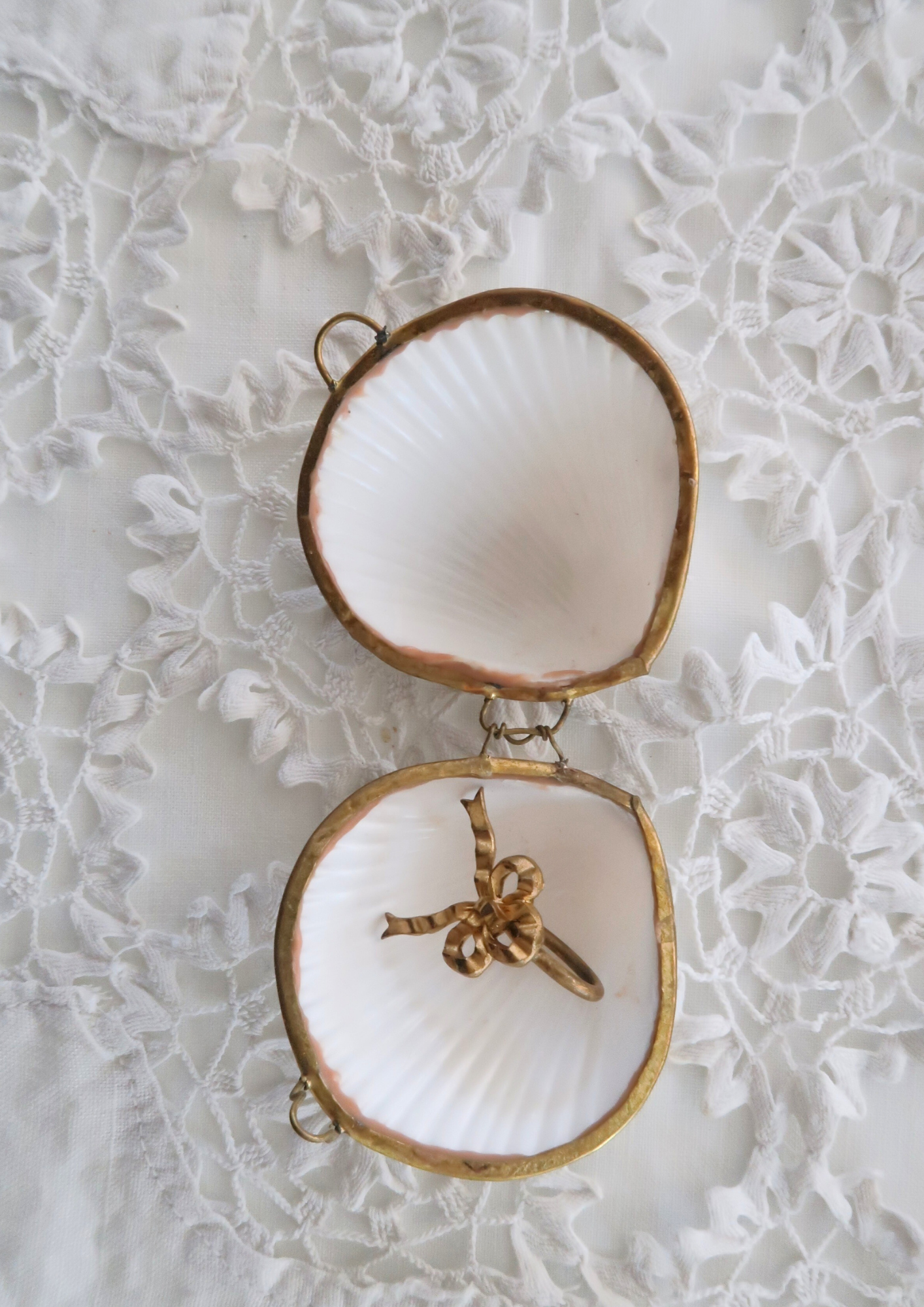 Boîte ancienne coquillage naturel