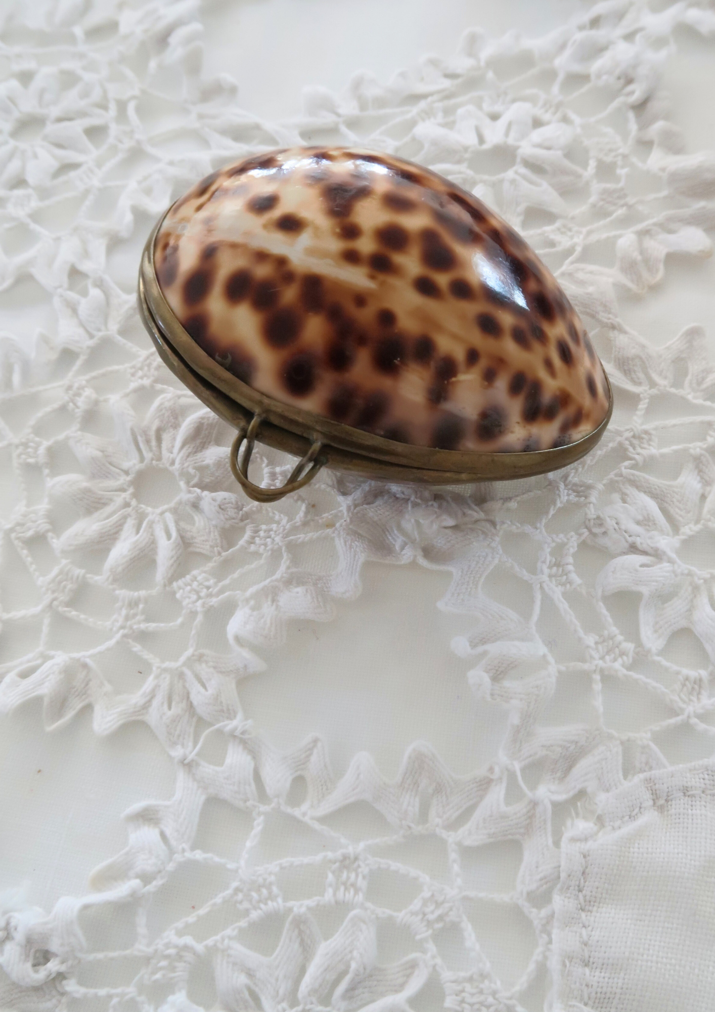 Boîte vintage coquillage naturel tacheté