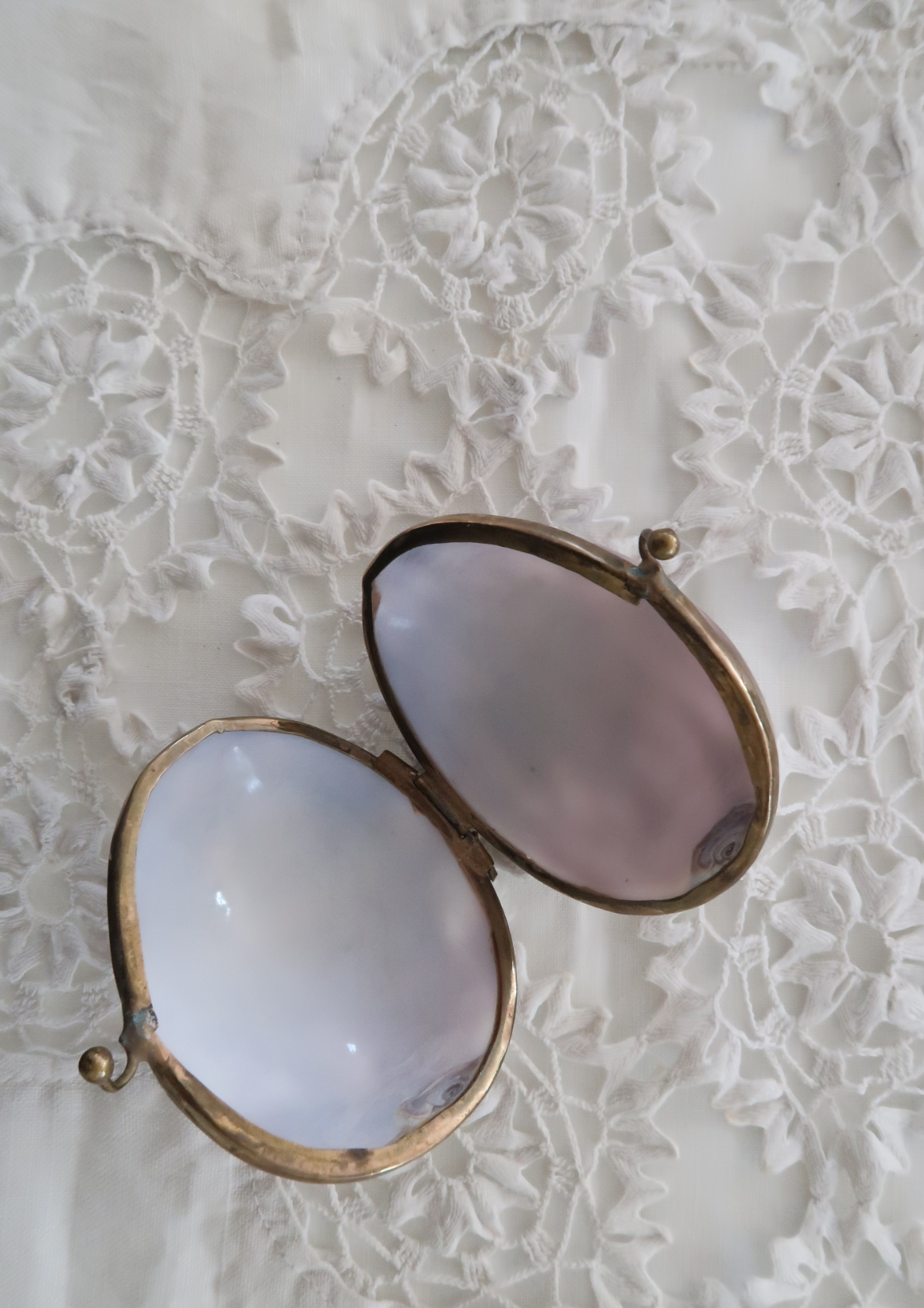 Boîte vintage coquillage naturel parme