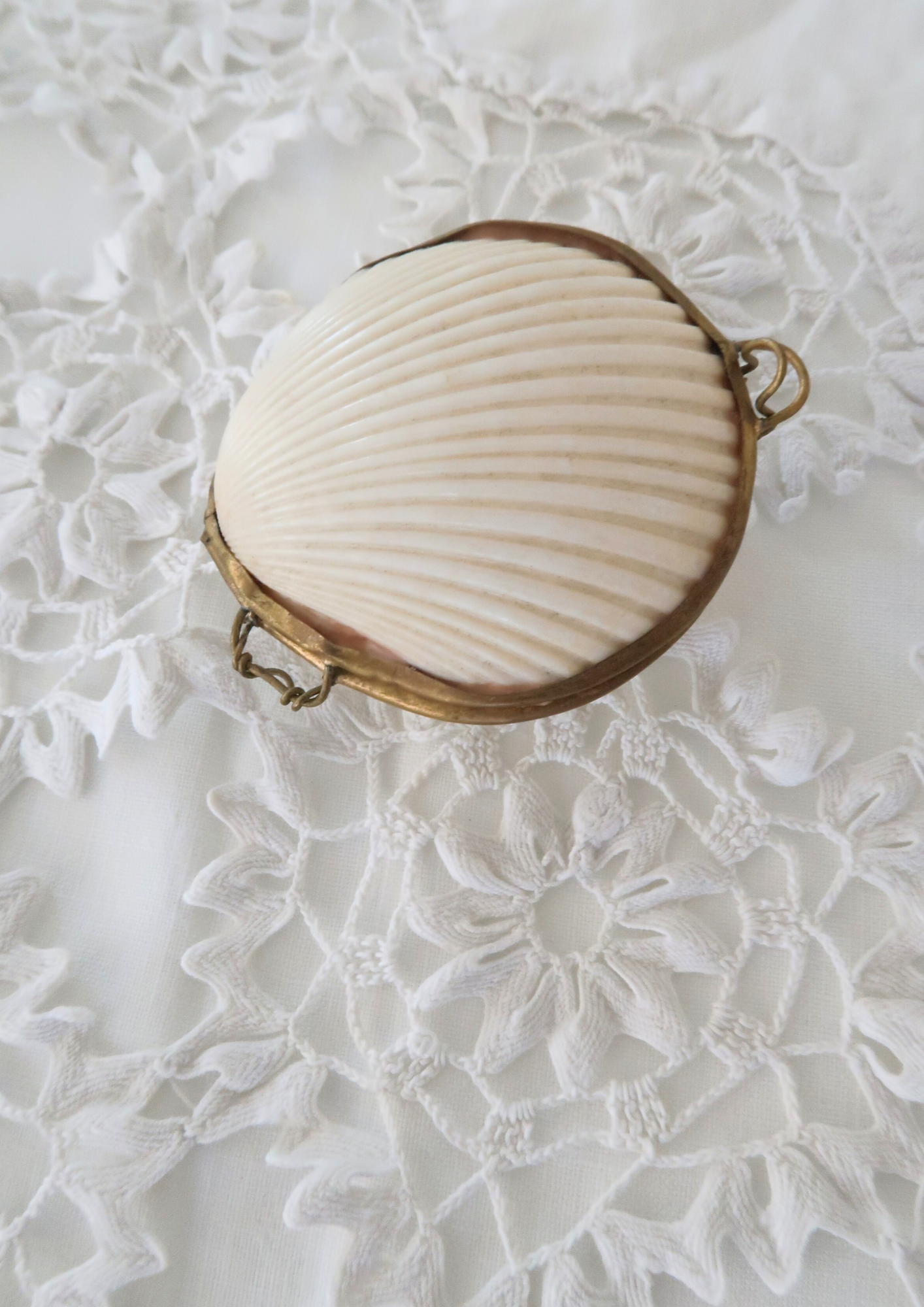 Boîte ancienne coquillage naturel