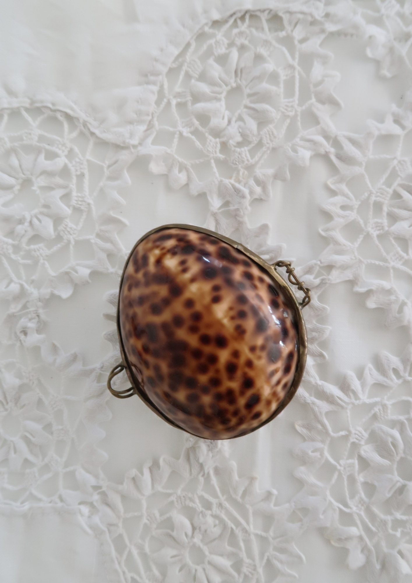 Boîte vintage coquillage naturel tacheté