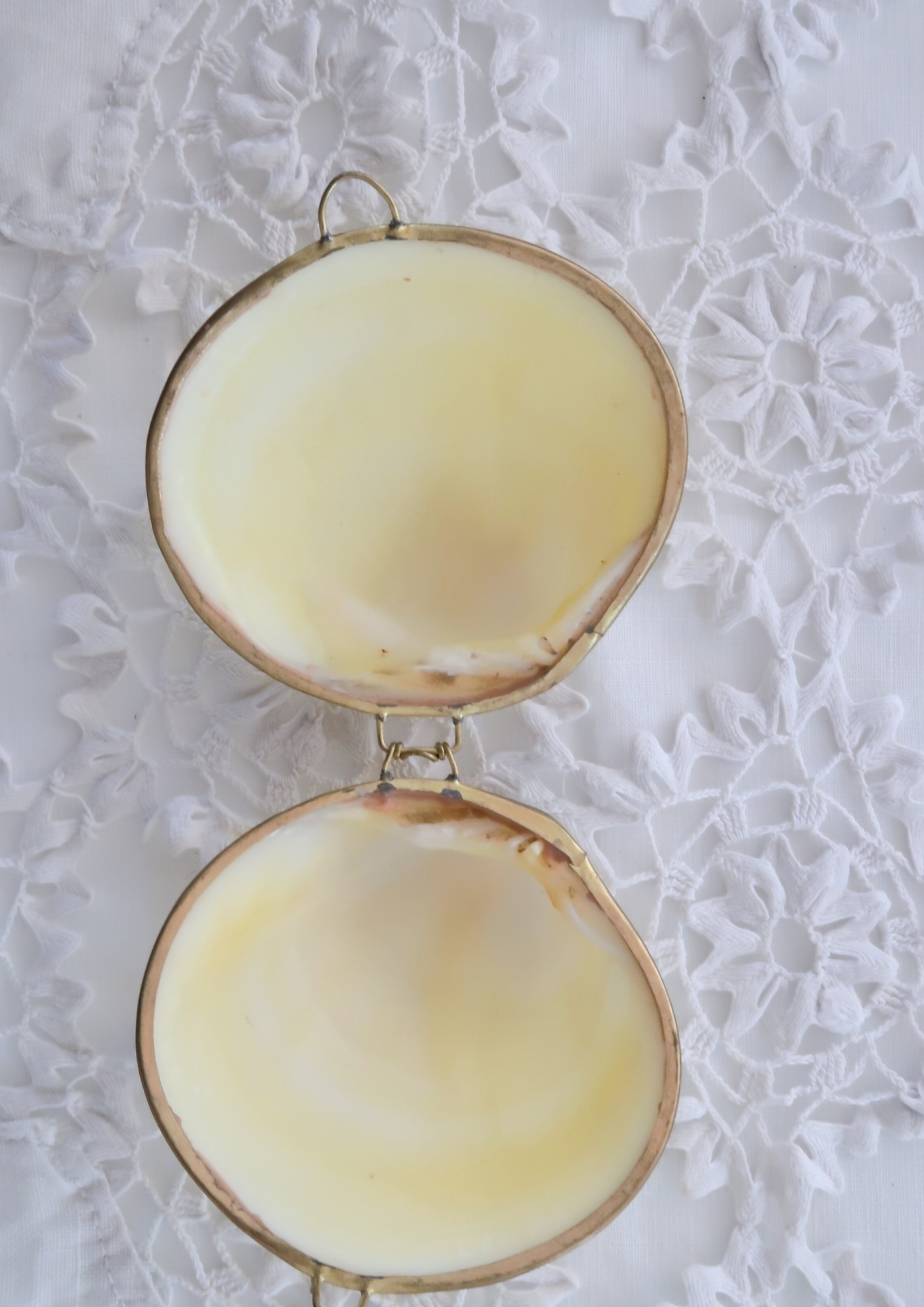 Boîte ancienne coquillage naturel crème