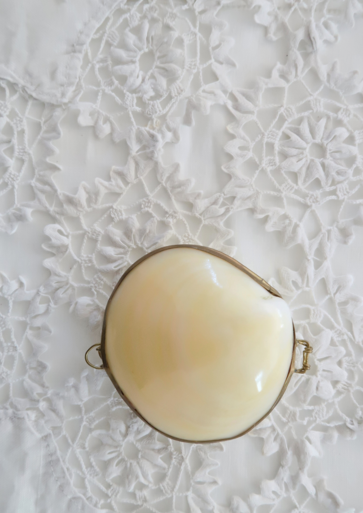 Boîte ancienne coquillage naturel crème
