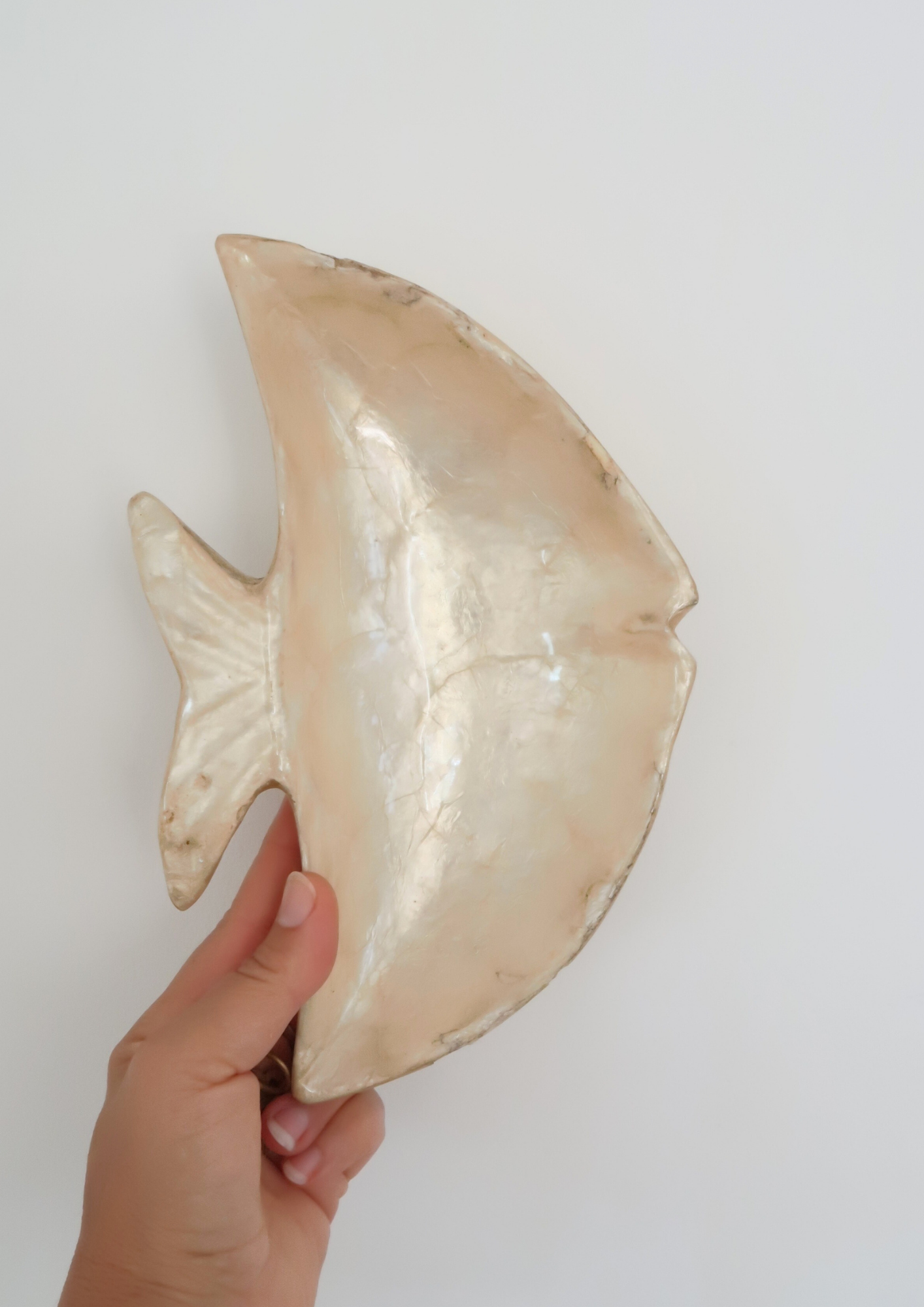 Plat à bijoux vintage poisson coquillage et nacre