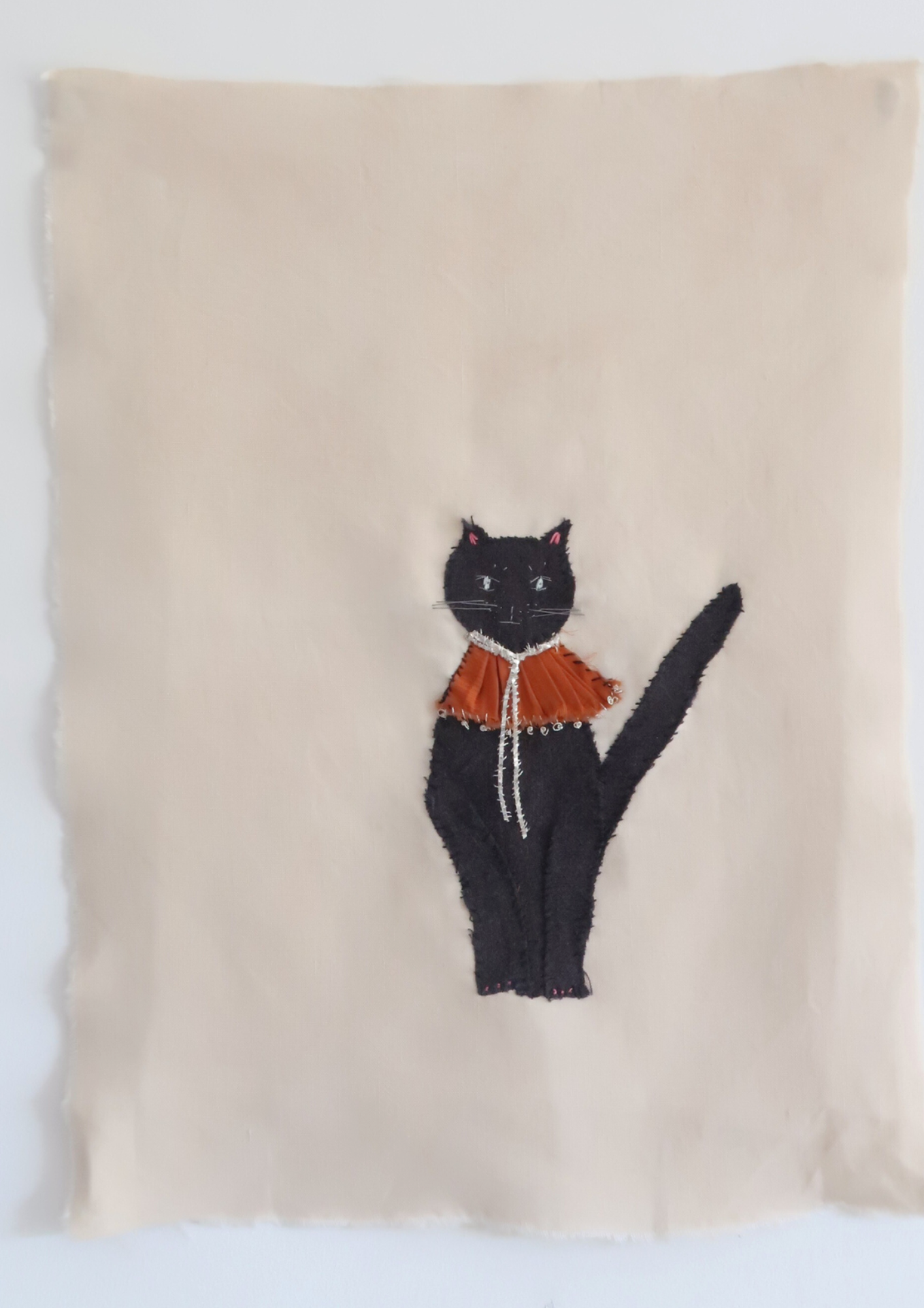 Chat noir
