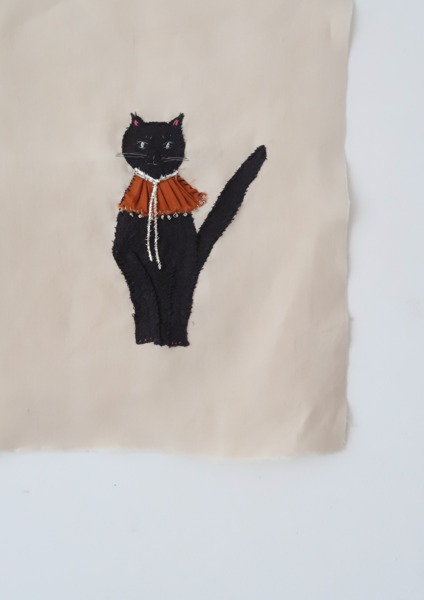 Chat noir