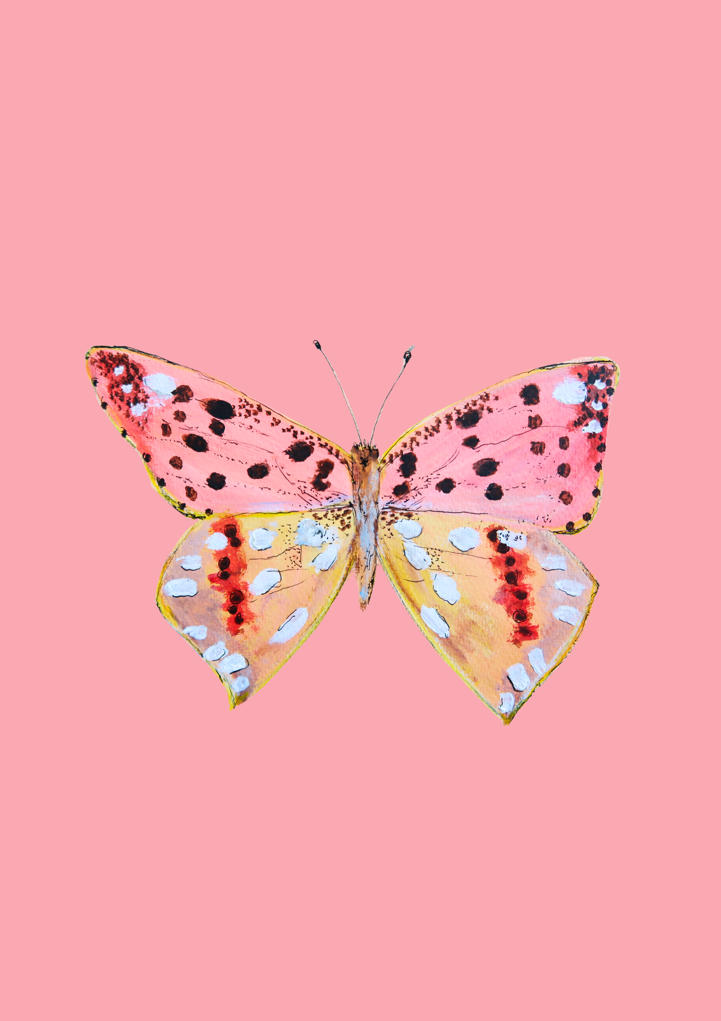 Papillon fond rose - Format 13x18cm