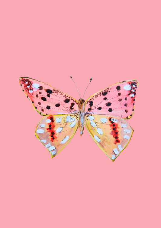 Papillon rose carte illustrée- Format 13x18cm