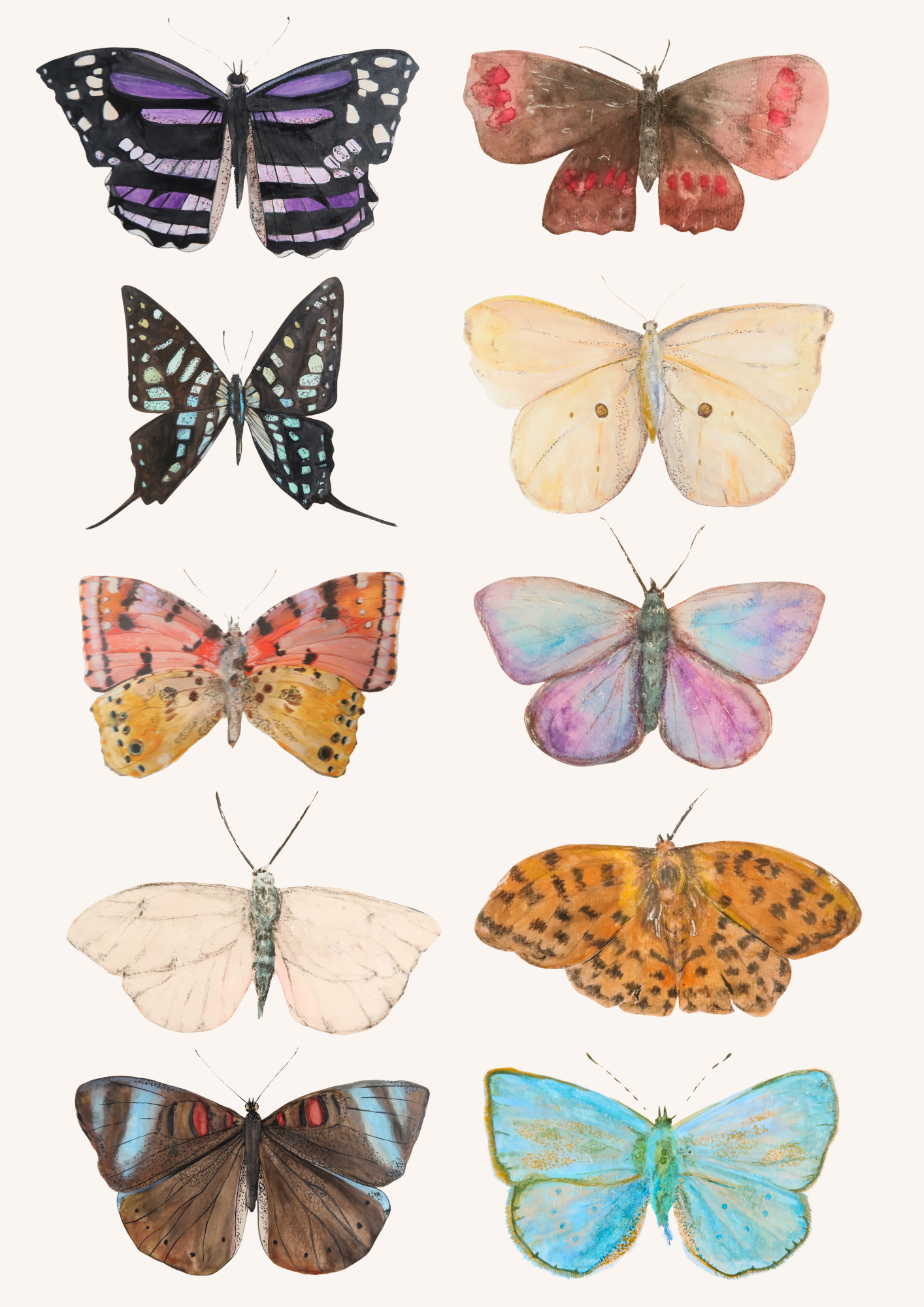 Affiche illustrée à motifs 10 papillons - Format A4