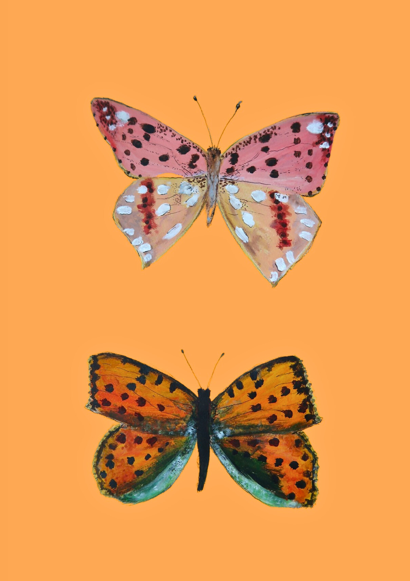 Papillon fond orange - Format 13x18cm