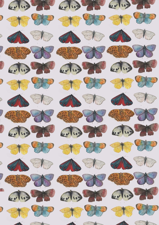 Affiche illustrée à motifs Papillons #1- Format A3